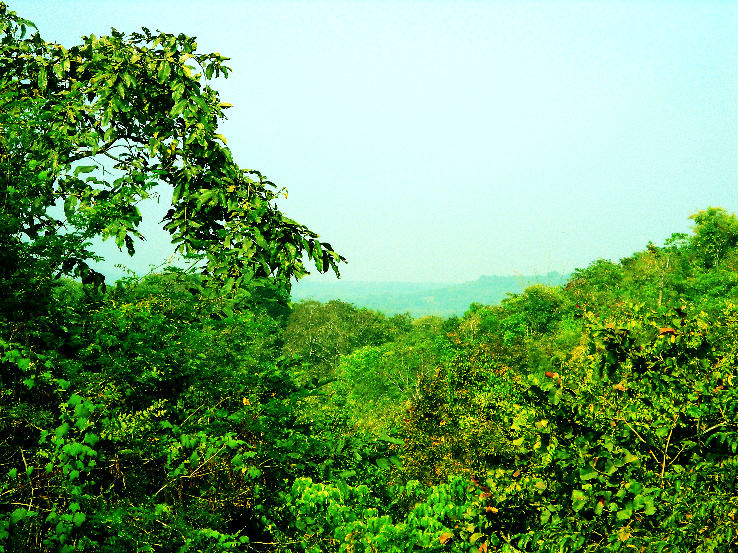 3. Papikonda National Park